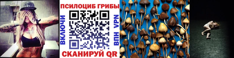 Псилоцибиновые грибы Psilocybine cubensis Краснотурьинск