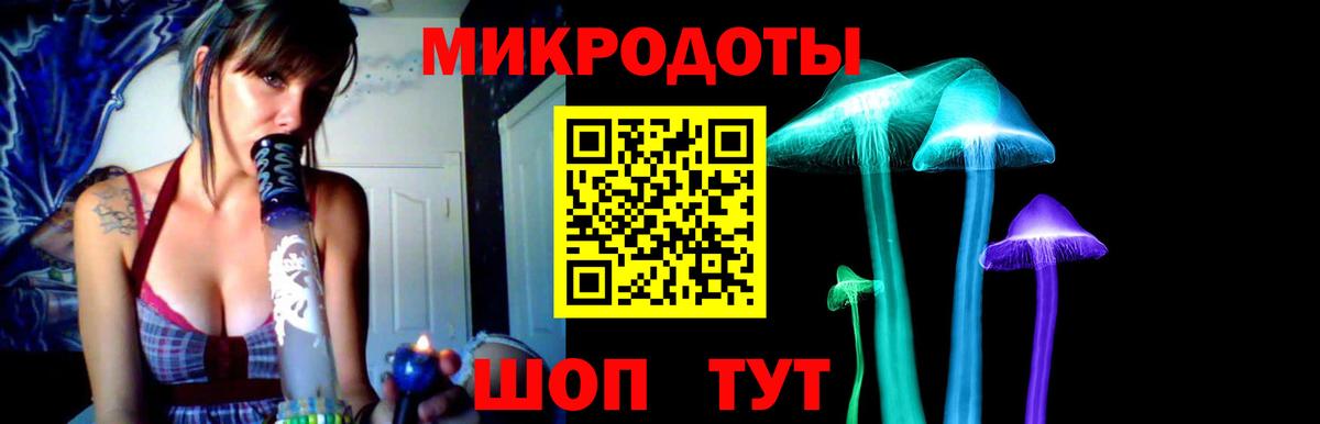 Галлюциногенные грибы Psilocybine cubensis Краснотурьинск